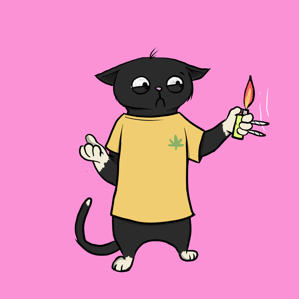Blazed Cat #3281